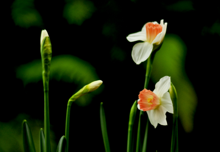 大家都做生態(tài)文明建設(shè)的實(shí)踐者、推動者（生態(tài)論苑）
