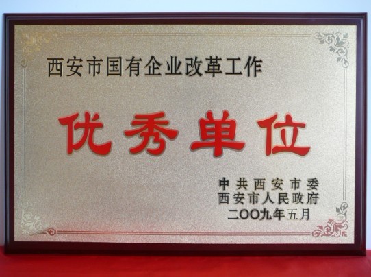 2009年5月，被西安市委、市政府評(píng)為西安市國(guó)企業(yè)改革工作優(yōu)秀單位