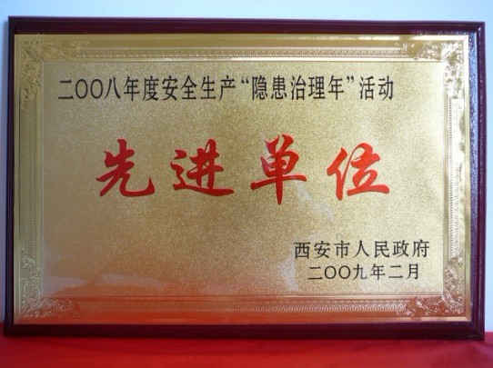 2009年2月，被西安市人民政府評(píng)為2008年度安全生產(chǎn)“隱患治理年”活動(dòng)先進(jìn)單位